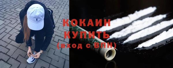 spice Богородск