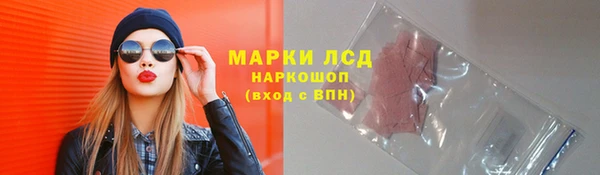 ешки Богданович