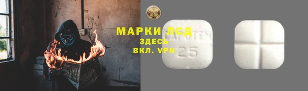 мдпв Богородицк