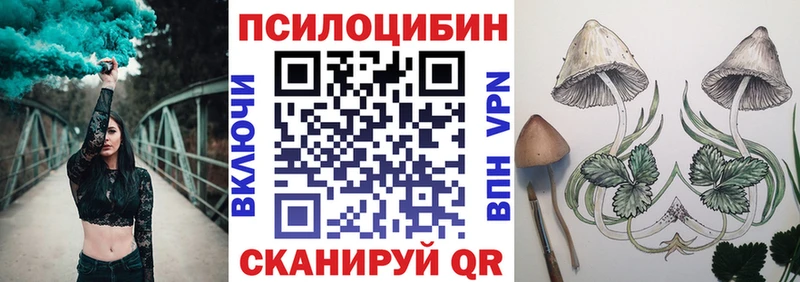 Псилоцибиновые грибы Cubensis Пестово